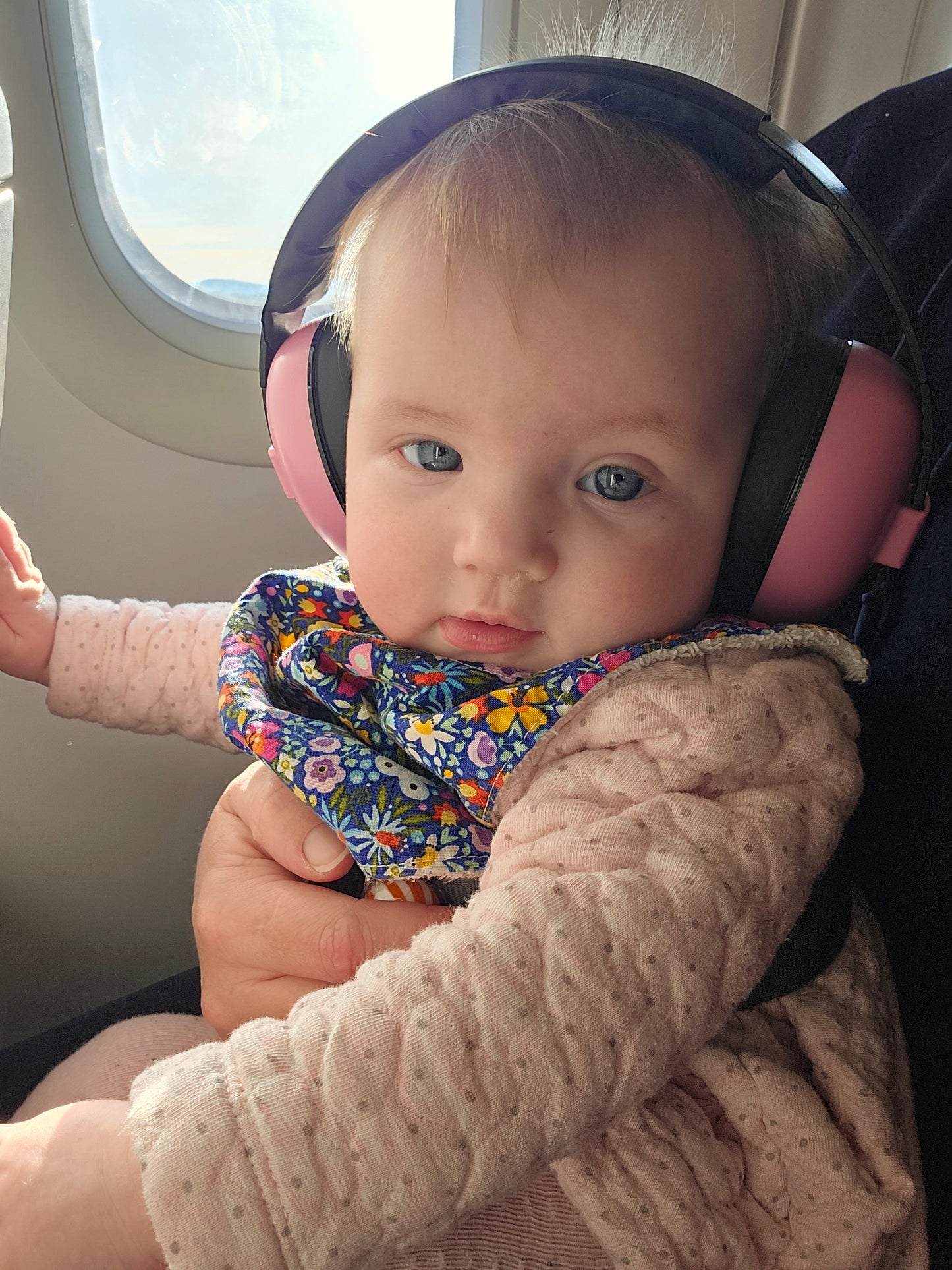 Adjustable Noise Cancelling Headphones- Baby/Toddler